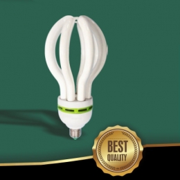 ENERGY SAVING LAMP